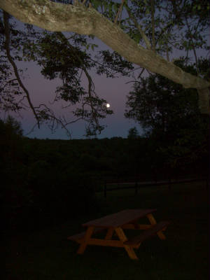 Dusk at 246 Richards Ave