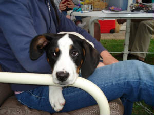 How cute is Riley? Seriously!